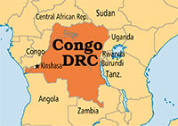 Briquetting Market in Democratic Republic of Congo