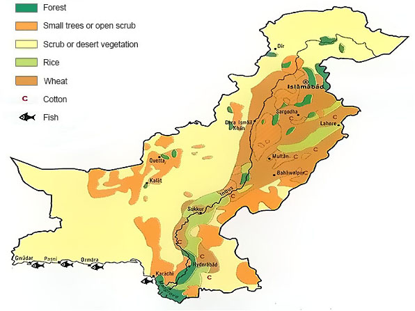 rich agriculture wastes in Pakistan