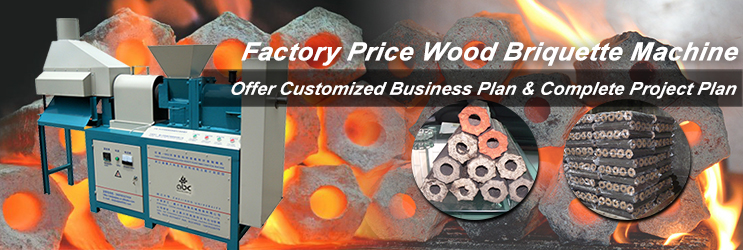 Factory Price Wood Briquette Machine for Sale