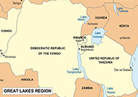 Briquetting Market in African Great Lake Region