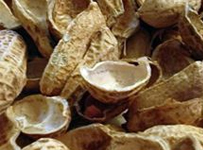 Peanut Shell