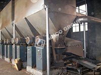 Biomass Briquetting Plant