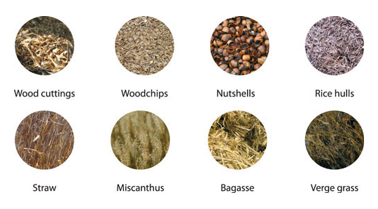 biomass materials