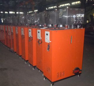 biomass steam generator