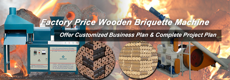 Factory Price Wooden Briquette Machien for Sale