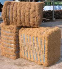 efb palm fiber