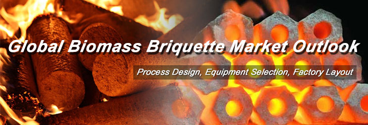 global biomass briquette market prospect 