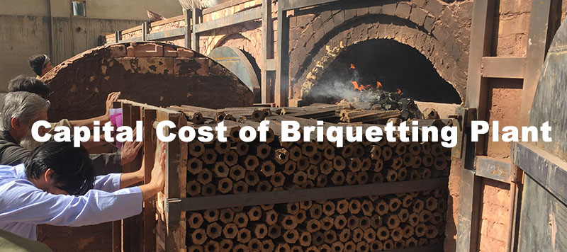 capital cost of setting up a biomass briquetting plant