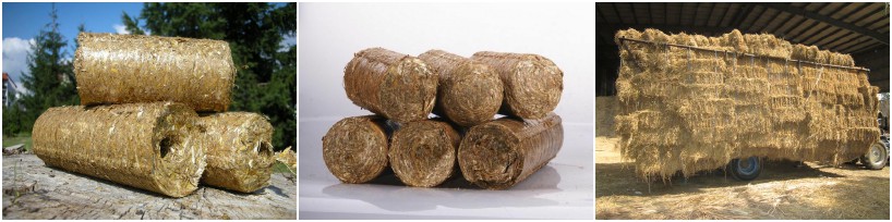 hollow straw briquettes and solid straw briquettes