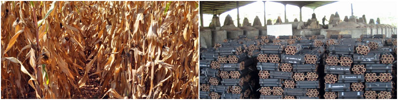 making briquettes from straw