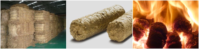 make paddy straw briquettes