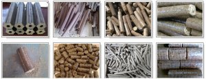 In-depth Analysis of Briquette Plant