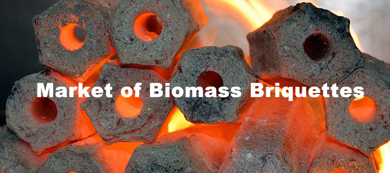 world market of biomass briquettes and briquetting plant
