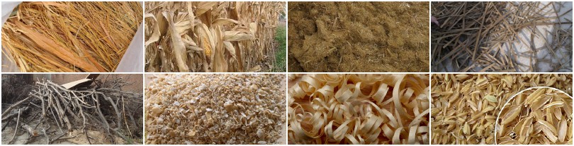 pelletizing biomass materials