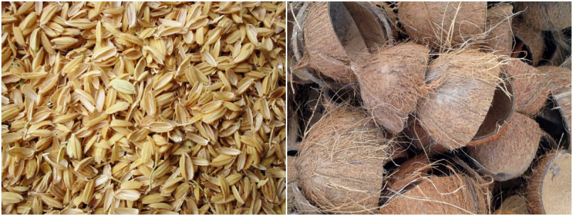 rice chaff coconut shell briquetting process