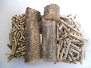 Rice Husk Briquette & Pellet Machine