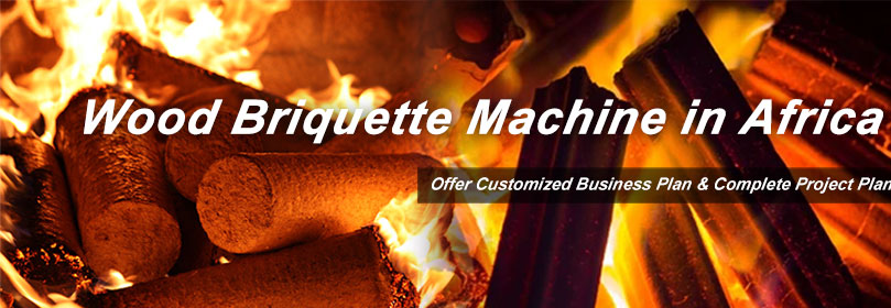 buying wood briquette machine africa